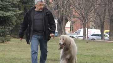 4269981persi