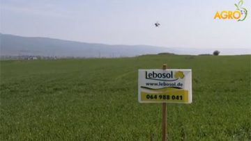43640391lebosol_848484