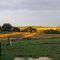 43672687Farm_June