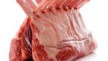 43809374lamb
