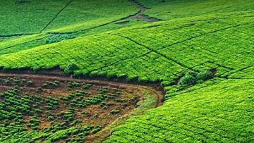 44382971zemedelski-zemi