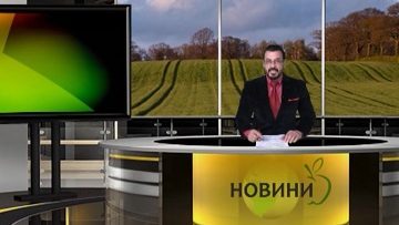 44516861news