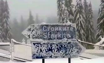 44618854emisia_25_01_2019