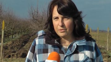 44619261ovoshtarstvo_griji