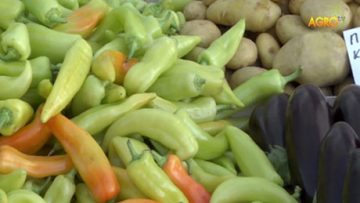 45006781agrotema_27_05_2017