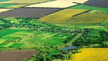 45160931ROMANIAN_AGRICULTURE_field_top_view_97763866_03_2