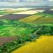 45160931ROMANIAN_AGRICULTURE_field_top_view_97763866_03_2