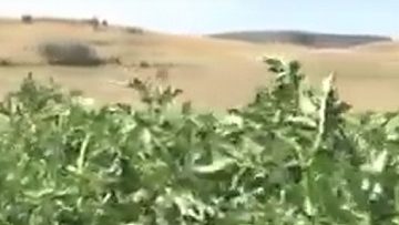 45278988000e158c-1600