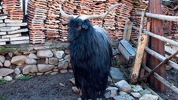 454168630IMG_3716_web