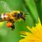 45744531bee