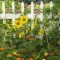 45831949FlowerGarden