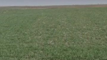 461304293d3766b6220d75c1fe362f2ef7b5f91b43c4a6d8