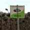 46169122Agrobiosemena_sunflower