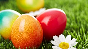46275200item_eastereggs