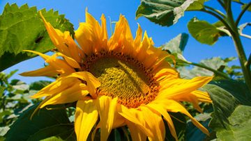 46749049IMG_8103_web