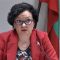 46786542Ivelina_Vasileva
