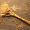 46941446wheat
