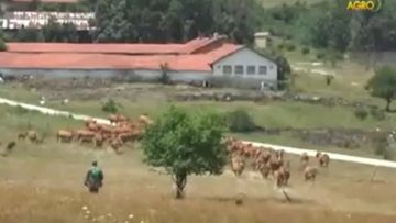 47281388789089056745634