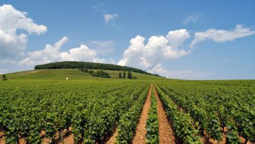 4731938Agriculture_Home_newweb