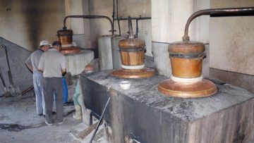 47756724izzeha-tri-kazana-za-varene-na-domashna-rakiq-249544