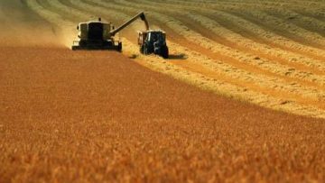 48676360338533121378498943_ahmetov-i-novinskiy-prodayut-svoyu-dolyu-v-agroholdinge