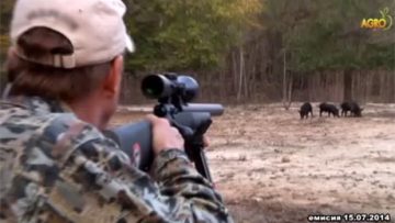 48680804hunting_34346346