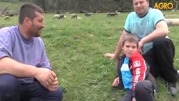 48789551ovtsevudstvo