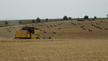 48794735DSC05799