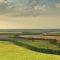 48991246field