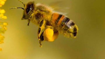 49269952bee_6