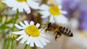 49332148bee_2