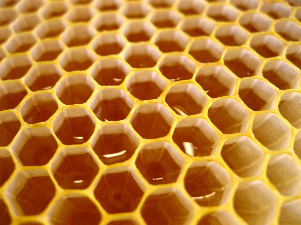 Вид сот. Соты пчелиные сбоку. Пчелиные соты многогранники. Пчелиные соты с медом. Многоугольники в природе.