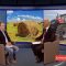 Kubota – сред пазарните лидери у нас
