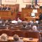 Агро коментар: Химн, дандании, парламентарен цирк, автор Валентина Спасова