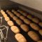 4986999072800679bread_333