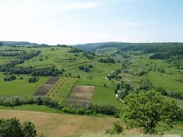 5055095919200598farming