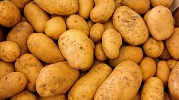 50886652potatoes-411975_1280-1200×800