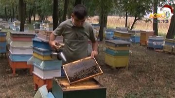 50940355675685685684444444