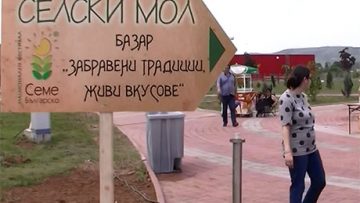 50958234seme_bulgarsko