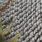 51052583-sunflower-seeds-sunflower