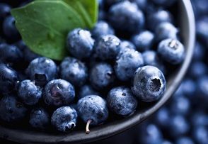 51345693blueberries