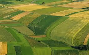 51799730farming