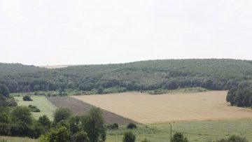 52469497_MG_6137