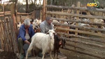 52525020ZMDNFK_30_12_2017