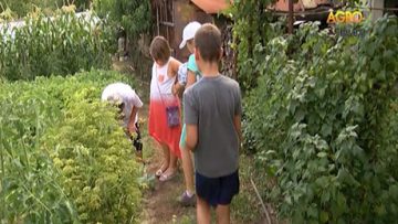 52575784agrotema_26_07