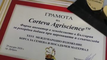53286815cortewa