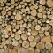 53313310Wood