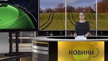 53582488news