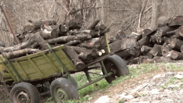 5408557Agrotema_29_07_2018