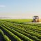 Tractor spraying soybean field